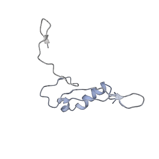 26036_7tor_AS21_v1-1
Mammalian 80S ribosome bound with the ALS/FTD-associated dipeptide repeat protein GR20