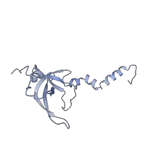 26036_7tor_AS23_v1-1
Mammalian 80S ribosome bound with the ALS/FTD-associated dipeptide repeat protein GR20