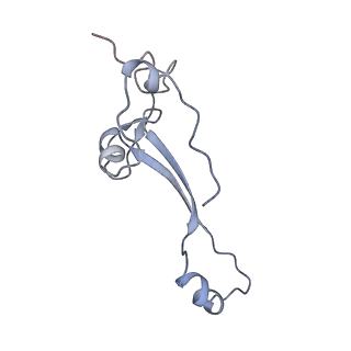 26036_7tor_AS26_v1-1
Mammalian 80S ribosome bound with the ALS/FTD-associated dipeptide repeat protein GR20