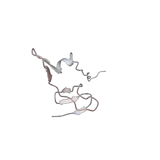 26036_7tor_AS31_v1-1
Mammalian 80S ribosome bound with the ALS/FTD-associated dipeptide repeat protein GR20