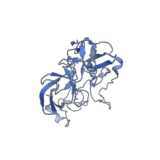 26037_7tos_L02_v1-1
E. coli 70S ribosomes bound with the ALS/FTD-associated dipeptide repeat protein PR20