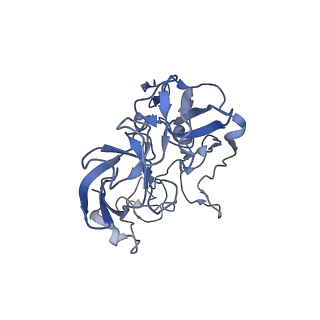 26037_7tos_L02_v1-2
E. coli 70S ribosomes bound with the ALS/FTD-associated dipeptide repeat protein PR20