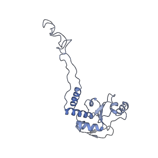 26037_7tos_L04_v1-2
E. coli 70S ribosomes bound with the ALS/FTD-associated dipeptide repeat protein PR20