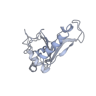 26037_7tos_L05_v1-1
E. coli 70S ribosomes bound with the ALS/FTD-associated dipeptide repeat protein PR20
