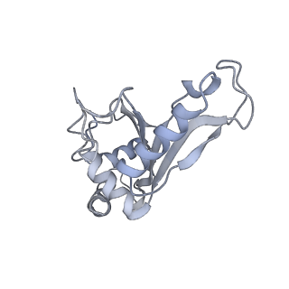 26037_7tos_L05_v1-2
E. coli 70S ribosomes bound with the ALS/FTD-associated dipeptide repeat protein PR20