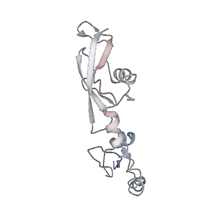 26037_7tos_L09_v1-1
E. coli 70S ribosomes bound with the ALS/FTD-associated dipeptide repeat protein PR20