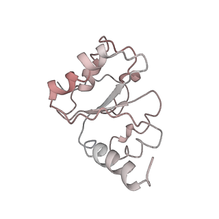 26037_7tos_L10_v1-1
E. coli 70S ribosomes bound with the ALS/FTD-associated dipeptide repeat protein PR20