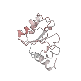 26037_7tos_L10_v1-2
E. coli 70S ribosomes bound with the ALS/FTD-associated dipeptide repeat protein PR20