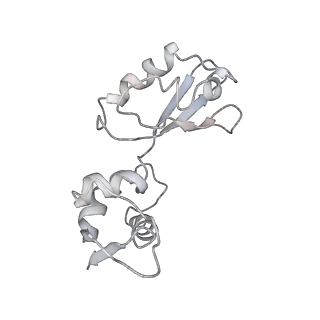 26037_7tos_L11_v1-1
E. coli 70S ribosomes bound with the ALS/FTD-associated dipeptide repeat protein PR20