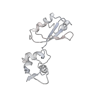 26037_7tos_L11_v1-2
E. coli 70S ribosomes bound with the ALS/FTD-associated dipeptide repeat protein PR20