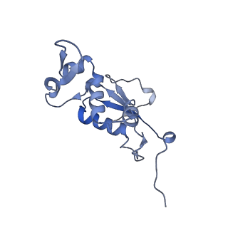 26037_7tos_L13_v1-1
E. coli 70S ribosomes bound with the ALS/FTD-associated dipeptide repeat protein PR20