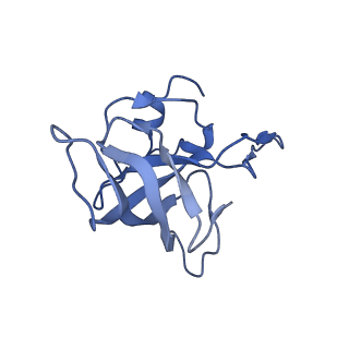 26037_7tos_L14_v1-1
E. coli 70S ribosomes bound with the ALS/FTD-associated dipeptide repeat protein PR20