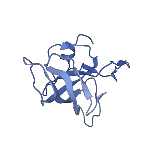 26037_7tos_L14_v1-2
E. coli 70S ribosomes bound with the ALS/FTD-associated dipeptide repeat protein PR20