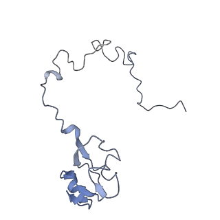 26037_7tos_L15_v1-2
E. coli 70S ribosomes bound with the ALS/FTD-associated dipeptide repeat protein PR20