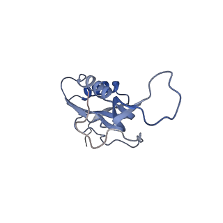 26037_7tos_L16_v1-1
E. coli 70S ribosomes bound with the ALS/FTD-associated dipeptide repeat protein PR20