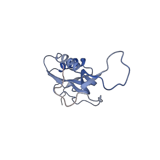 26037_7tos_L16_v1-2
E. coli 70S ribosomes bound with the ALS/FTD-associated dipeptide repeat protein PR20