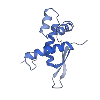 26037_7tos_L17_v1-1
E. coli 70S ribosomes bound with the ALS/FTD-associated dipeptide repeat protein PR20