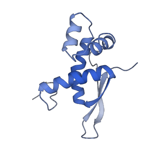 26037_7tos_L17_v1-2
E. coli 70S ribosomes bound with the ALS/FTD-associated dipeptide repeat protein PR20