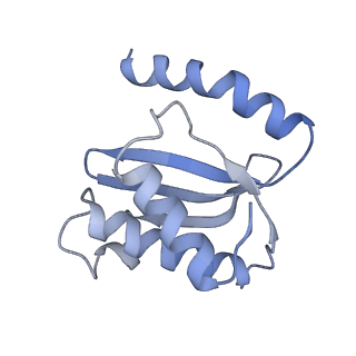 26037_7tos_L18_v1-1
E. coli 70S ribosomes bound with the ALS/FTD-associated dipeptide repeat protein PR20