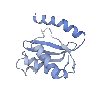 26037_7tos_L18_v1-2
E. coli 70S ribosomes bound with the ALS/FTD-associated dipeptide repeat protein PR20