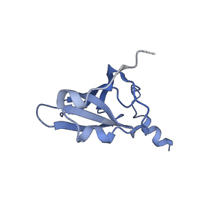 26037_7tos_L19_v1-1
E. coli 70S ribosomes bound with the ALS/FTD-associated dipeptide repeat protein PR20