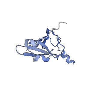 26037_7tos_L19_v1-2
E. coli 70S ribosomes bound with the ALS/FTD-associated dipeptide repeat protein PR20