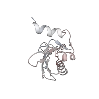26037_7tos_L1_v1-1
E. coli 70S ribosomes bound with the ALS/FTD-associated dipeptide repeat protein PR20