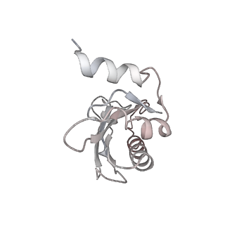 26037_7tos_L1_v1-2
E. coli 70S ribosomes bound with the ALS/FTD-associated dipeptide repeat protein PR20