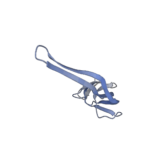 26037_7tos_L21_v1-2
E. coli 70S ribosomes bound with the ALS/FTD-associated dipeptide repeat protein PR20