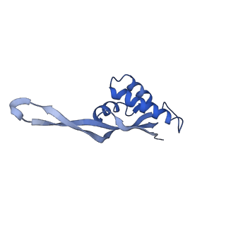 26037_7tos_L22_v1-2
E. coli 70S ribosomes bound with the ALS/FTD-associated dipeptide repeat protein PR20