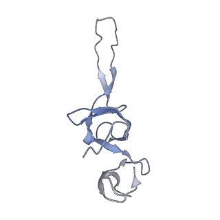 26037_7tos_L24_v1-1
E. coli 70S ribosomes bound with the ALS/FTD-associated dipeptide repeat protein PR20