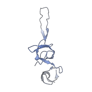 26037_7tos_L24_v1-2
E. coli 70S ribosomes bound with the ALS/FTD-associated dipeptide repeat protein PR20