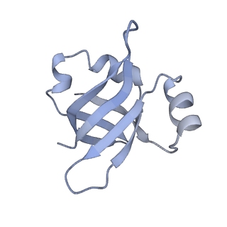 26037_7tos_L25_v1-1
E. coli 70S ribosomes bound with the ALS/FTD-associated dipeptide repeat protein PR20