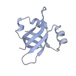 26037_7tos_L25_v1-2
E. coli 70S ribosomes bound with the ALS/FTD-associated dipeptide repeat protein PR20