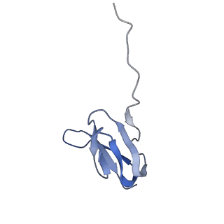 26037_7tos_L27_v1-1
E. coli 70S ribosomes bound with the ALS/FTD-associated dipeptide repeat protein PR20