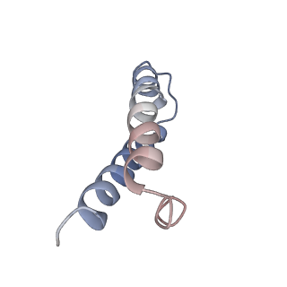 26037_7tos_L29_v1-1
E. coli 70S ribosomes bound with the ALS/FTD-associated dipeptide repeat protein PR20