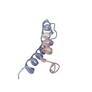 26037_7tos_L29_v1-2
E. coli 70S ribosomes bound with the ALS/FTD-associated dipeptide repeat protein PR20