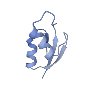 26037_7tos_L30_v1-1
E. coli 70S ribosomes bound with the ALS/FTD-associated dipeptide repeat protein PR20