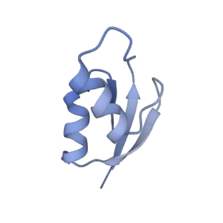 26037_7tos_L30_v1-2
E. coli 70S ribosomes bound with the ALS/FTD-associated dipeptide repeat protein PR20