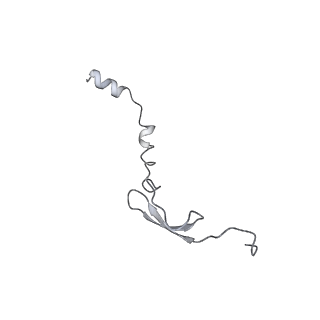 26037_7tos_L31_v1-1
E. coli 70S ribosomes bound with the ALS/FTD-associated dipeptide repeat protein PR20