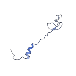 26037_7tos_L32_v1-1
E. coli 70S ribosomes bound with the ALS/FTD-associated dipeptide repeat protein PR20