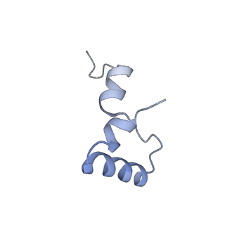 26037_7tos_L34_v1-1
E. coli 70S ribosomes bound with the ALS/FTD-associated dipeptide repeat protein PR20