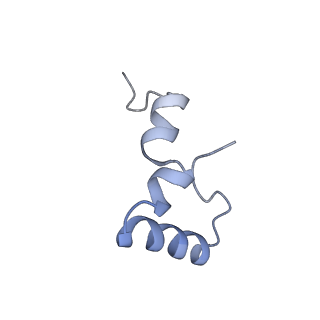 26037_7tos_L34_v1-2
E. coli 70S ribosomes bound with the ALS/FTD-associated dipeptide repeat protein PR20