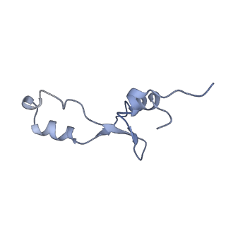 26037_7tos_L35_v1-1
E. coli 70S ribosomes bound with the ALS/FTD-associated dipeptide repeat protein PR20