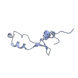 26037_7tos_L35_v1-2
E. coli 70S ribosomes bound with the ALS/FTD-associated dipeptide repeat protein PR20