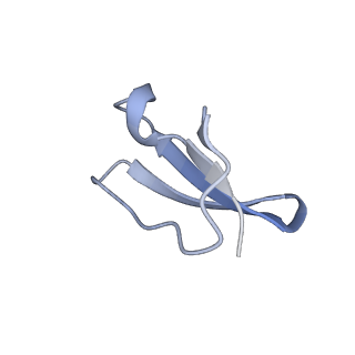 26037_7tos_L36_v1-2
E. coli 70S ribosomes bound with the ALS/FTD-associated dipeptide repeat protein PR20