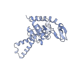 26037_7tos_S02_v1-1
E. coli 70S ribosomes bound with the ALS/FTD-associated dipeptide repeat protein PR20