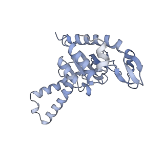 26037_7tos_S02_v1-2
E. coli 70S ribosomes bound with the ALS/FTD-associated dipeptide repeat protein PR20