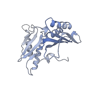26037_7tos_S03_v1-1
E. coli 70S ribosomes bound with the ALS/FTD-associated dipeptide repeat protein PR20