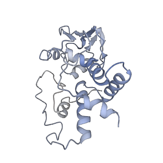 26037_7tos_S04_v1-1
E. coli 70S ribosomes bound with the ALS/FTD-associated dipeptide repeat protein PR20